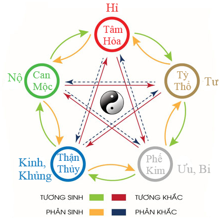 tuong sinh tuong khac dong y tinh tuc